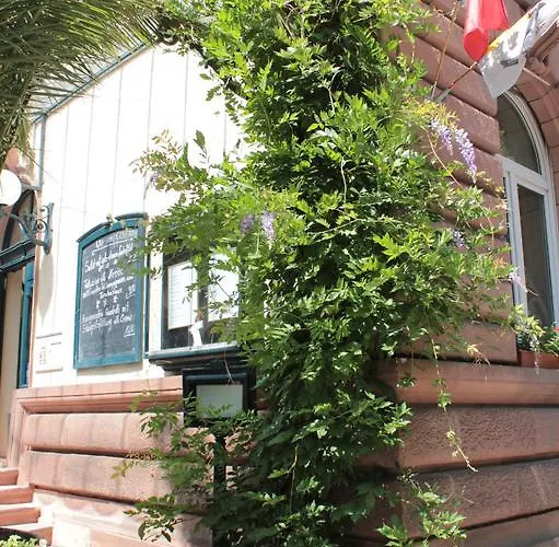 Schiller 3* Freiburg im Breisgau